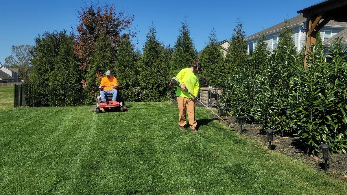 A landscaping crew mowing and trimming a freshly striped lawn